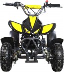 ATV H4 mini 2